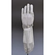 Cut Resistant Glove